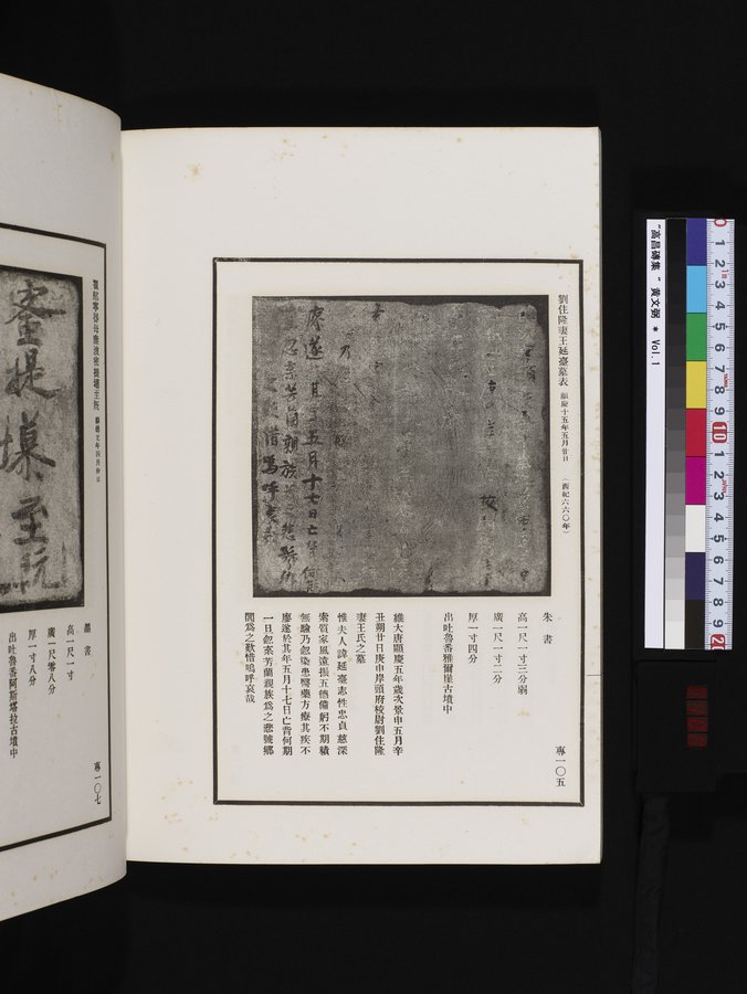 高昌磚集 : vol.1 / Page 100 (Color Image)
