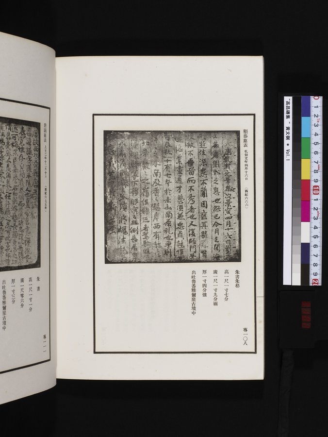 高昌磚集 : vol.1 / Page 102 (Color Image)