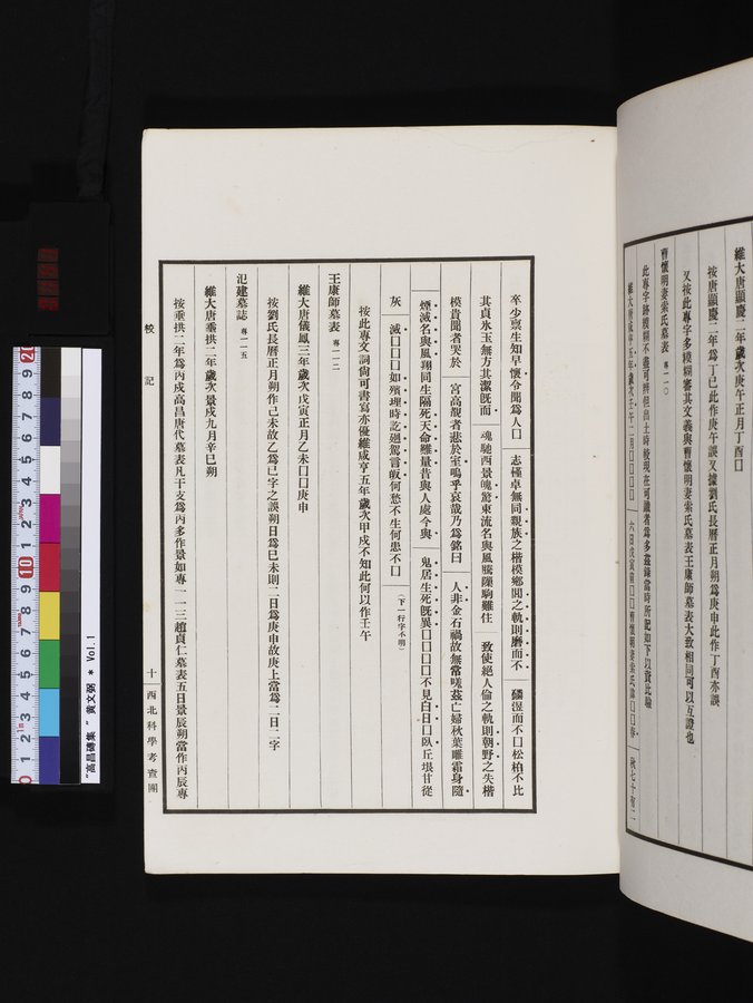 高昌磚集 : vol.1 / Page 141 (Color Image)