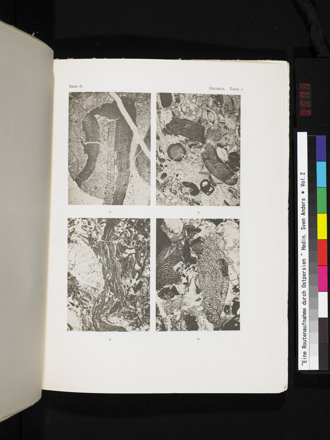 Eine Routenaufnahme durch Ostpersien : vol.2 / Page 571 (Color Image)