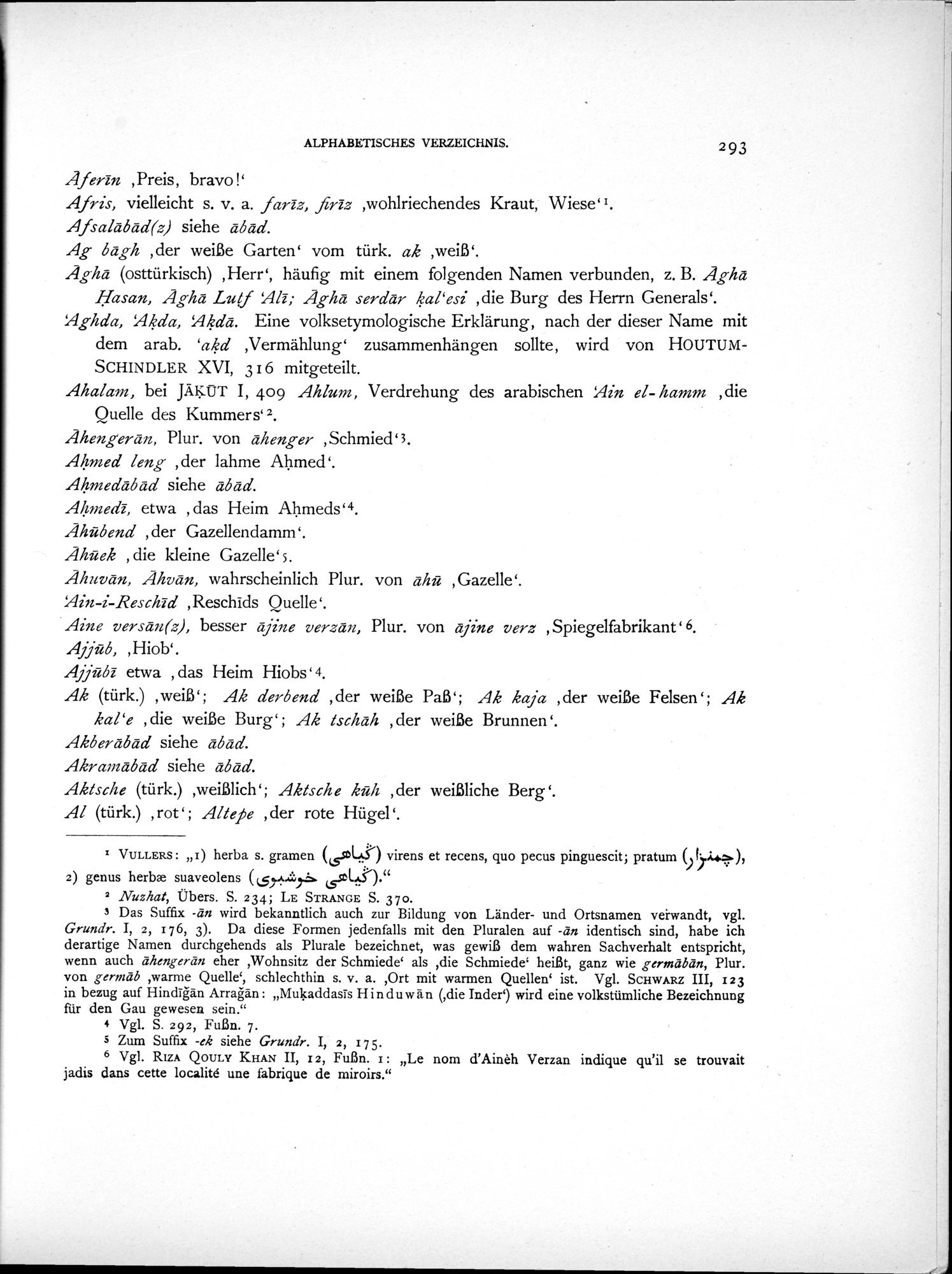 Eine Routenaufnahme durch Ostpersien : vol.2 / 363 ページ（白黒高解像度画像）