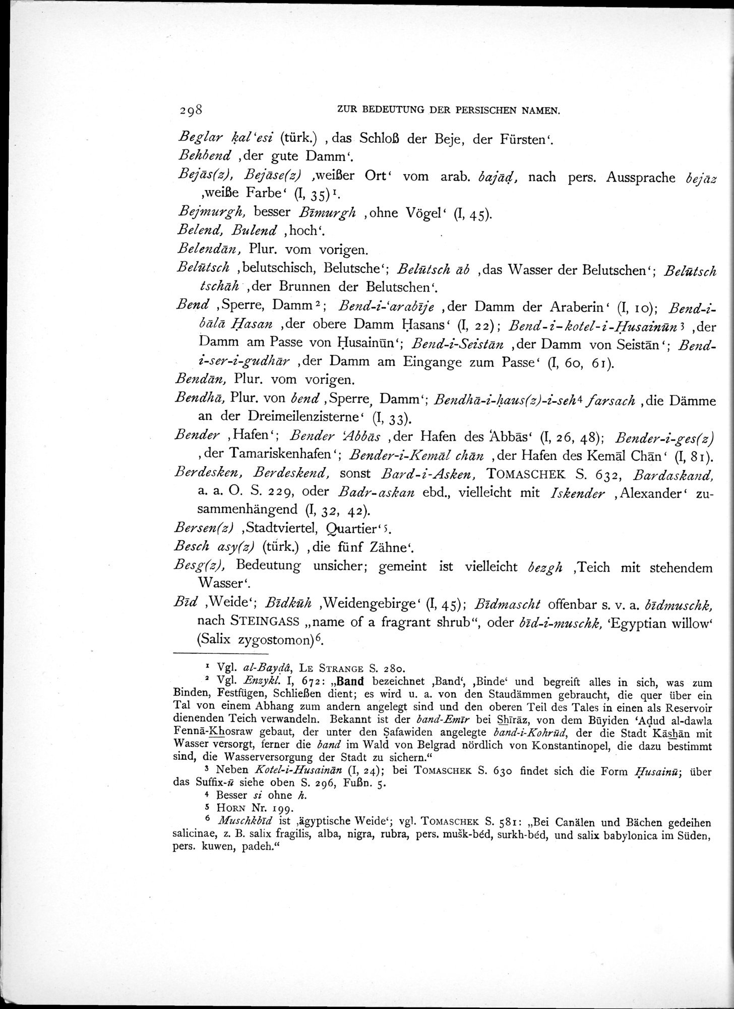 Eine Routenaufnahme durch Ostpersien : vol.2 / 368 ページ（白黒高解像度画像）