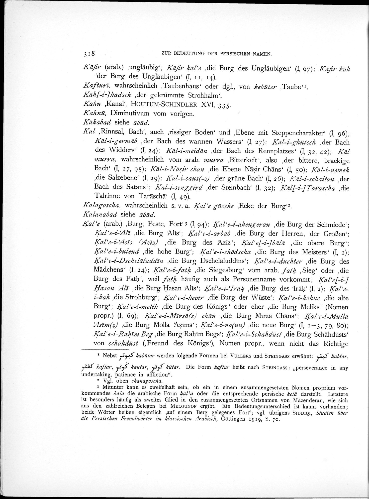 Eine Routenaufnahme durch Ostpersien : vol.2 / 388 ページ（白黒高解像度画像）