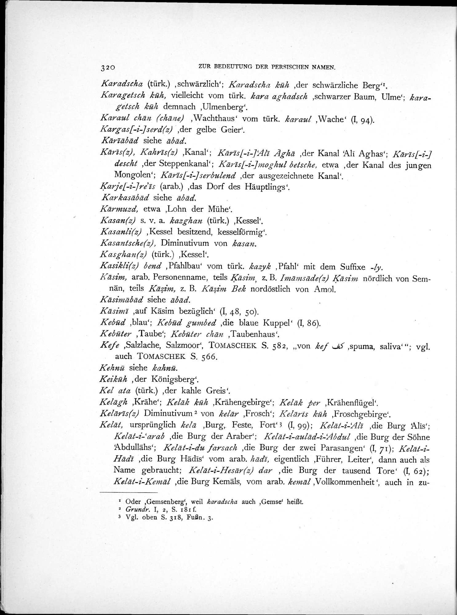 Eine Routenaufnahme durch Ostpersien : vol.2 / 390 ページ（白黒高解像度画像）