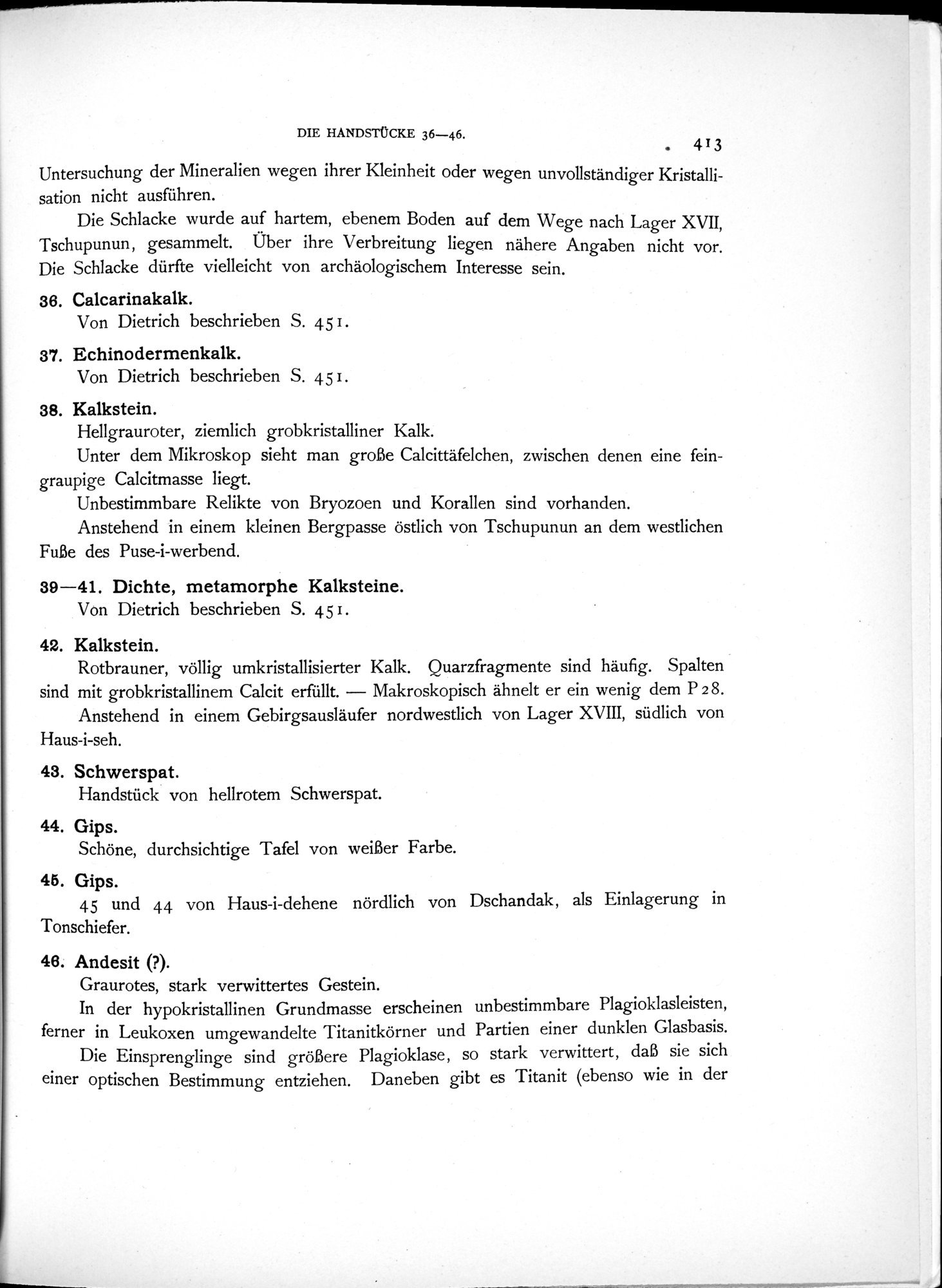 Eine Routenaufnahme durch Ostpersien : vol.2 / 495 ページ（白黒高解像度画像）