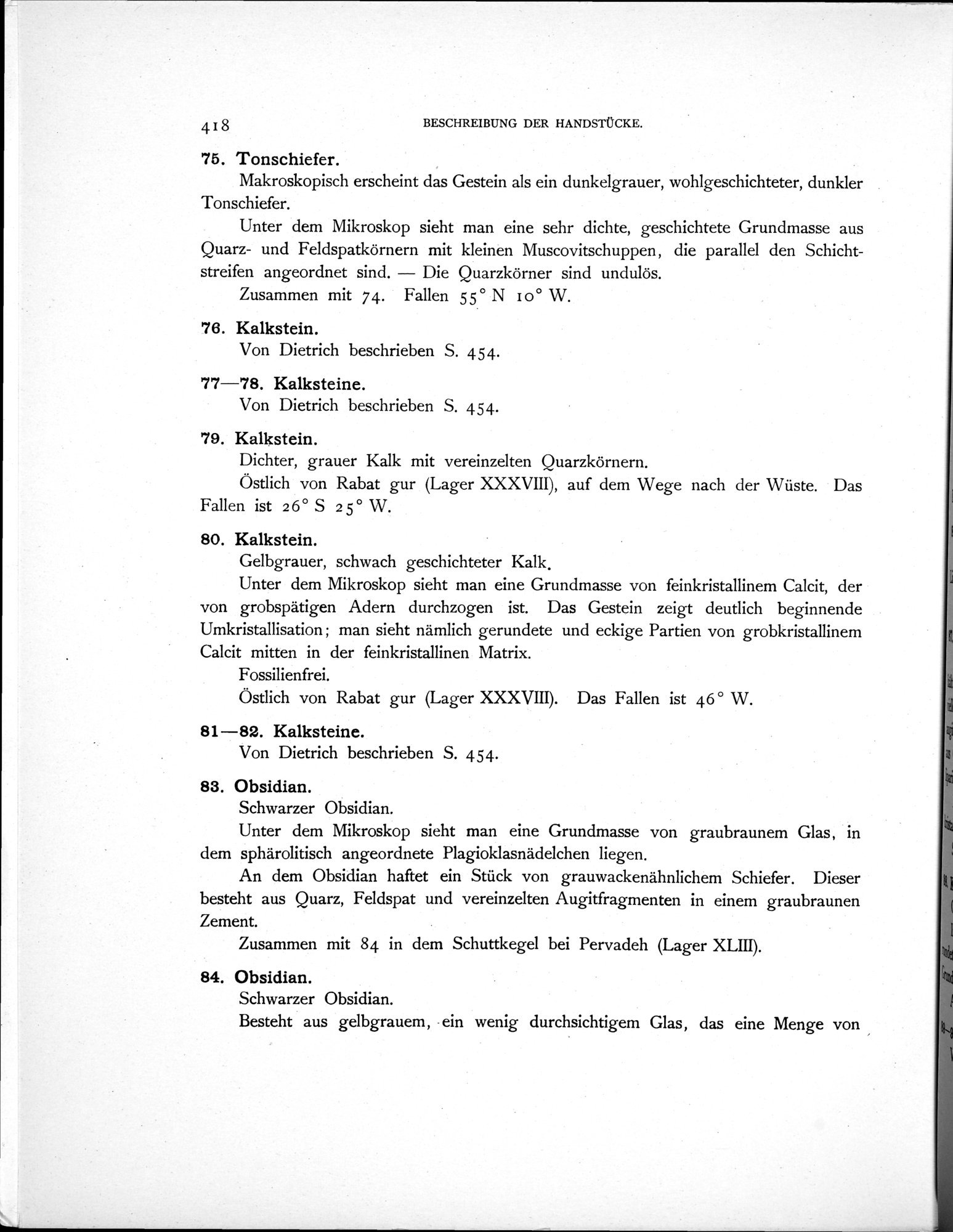 Eine Routenaufnahme durch Ostpersien : vol.2 / 504 ページ（白黒高解像度画像）