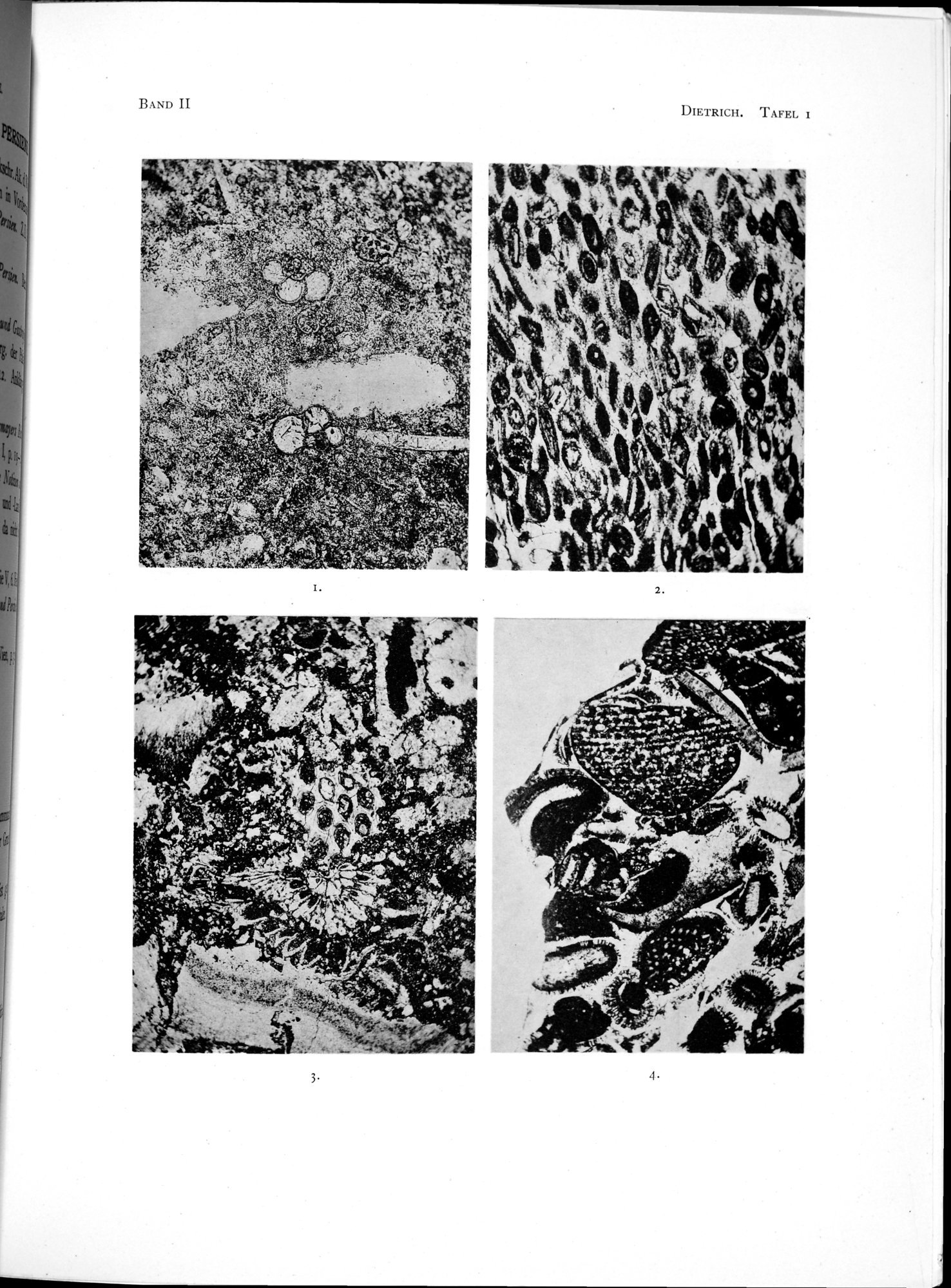 Eine Routenaufnahme durch Ostpersien : vol.2 / Page 569 (Grayscale High Resolution Image)
