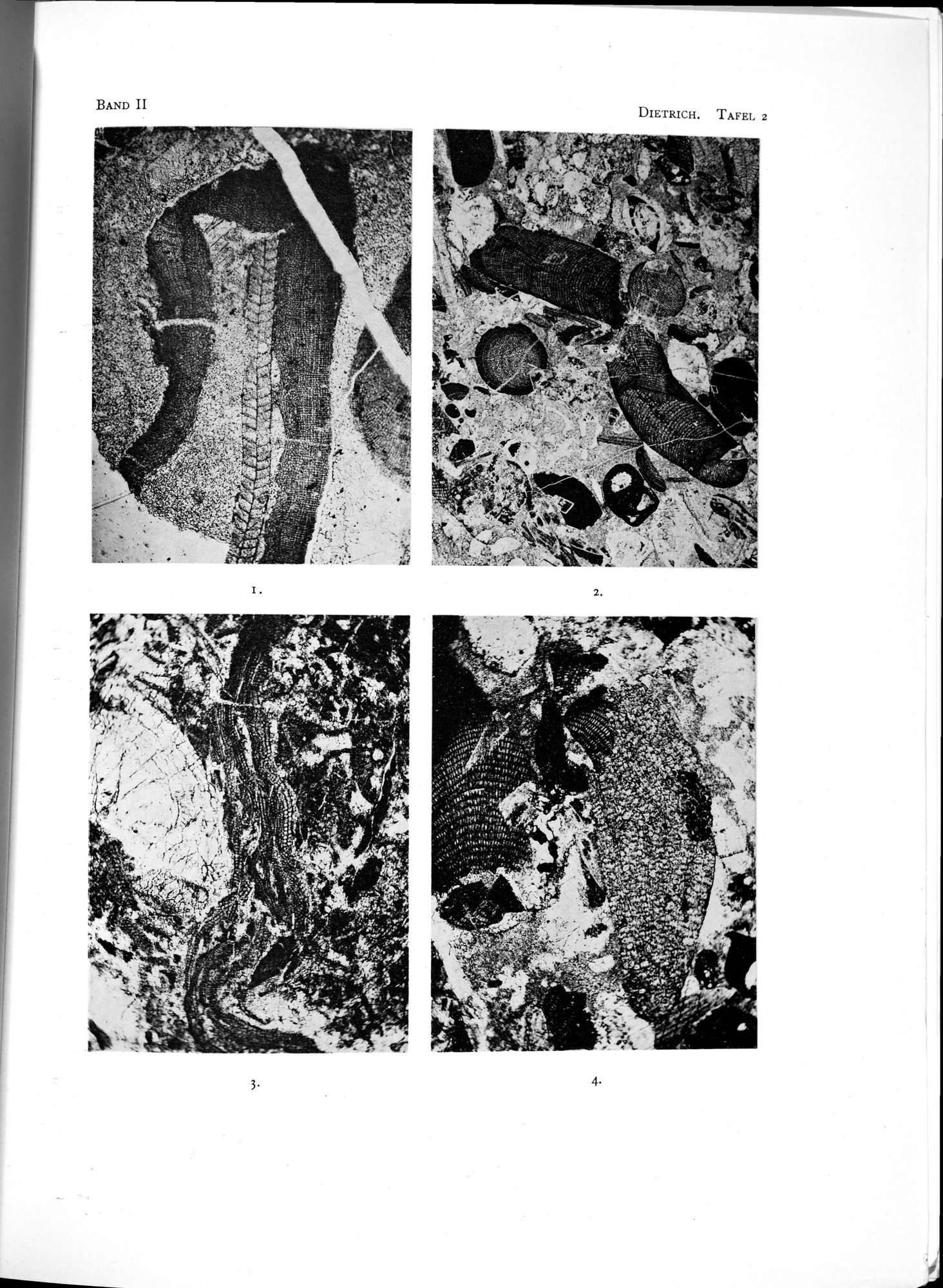 Eine Routenaufnahme durch Ostpersien : vol.2 / Page 571 (Grayscale High Resolution Image)