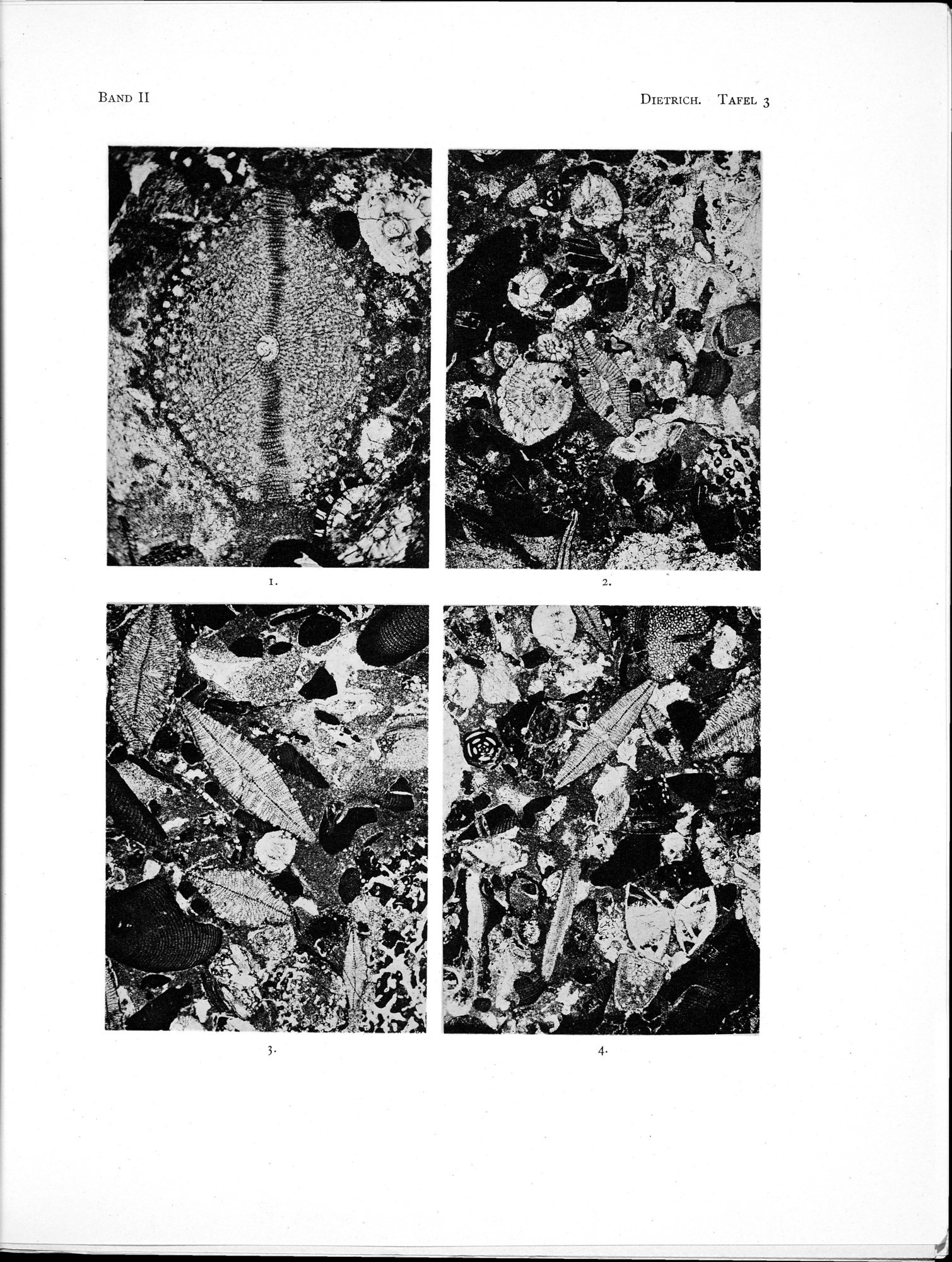 Eine Routenaufnahme durch Ostpersien : vol.2 / Page 573 (Grayscale High Resolution Image)
