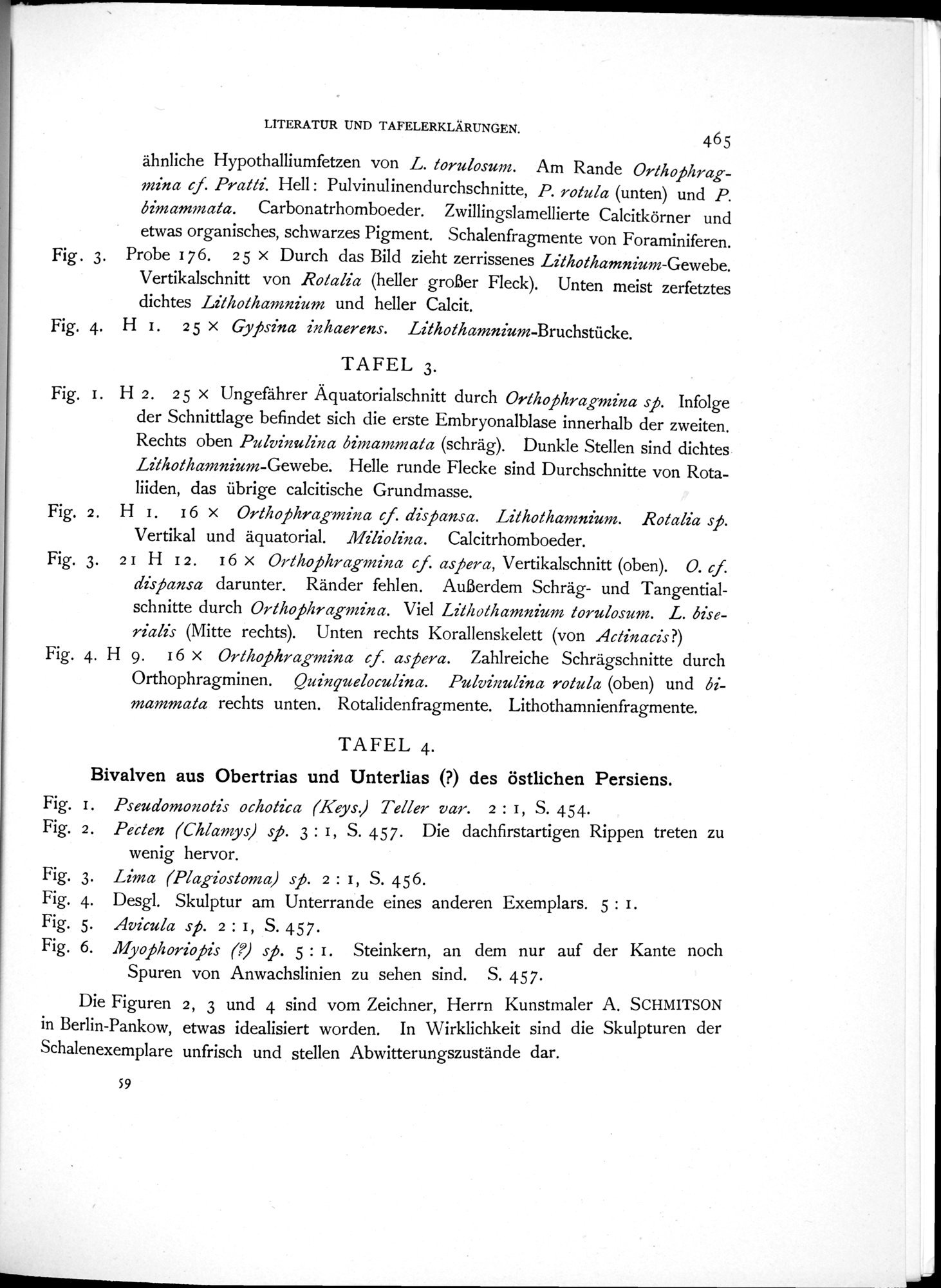 Eine Routenaufnahme durch Ostpersien : vol.2 / 577 ページ（白黒高解像度画像）