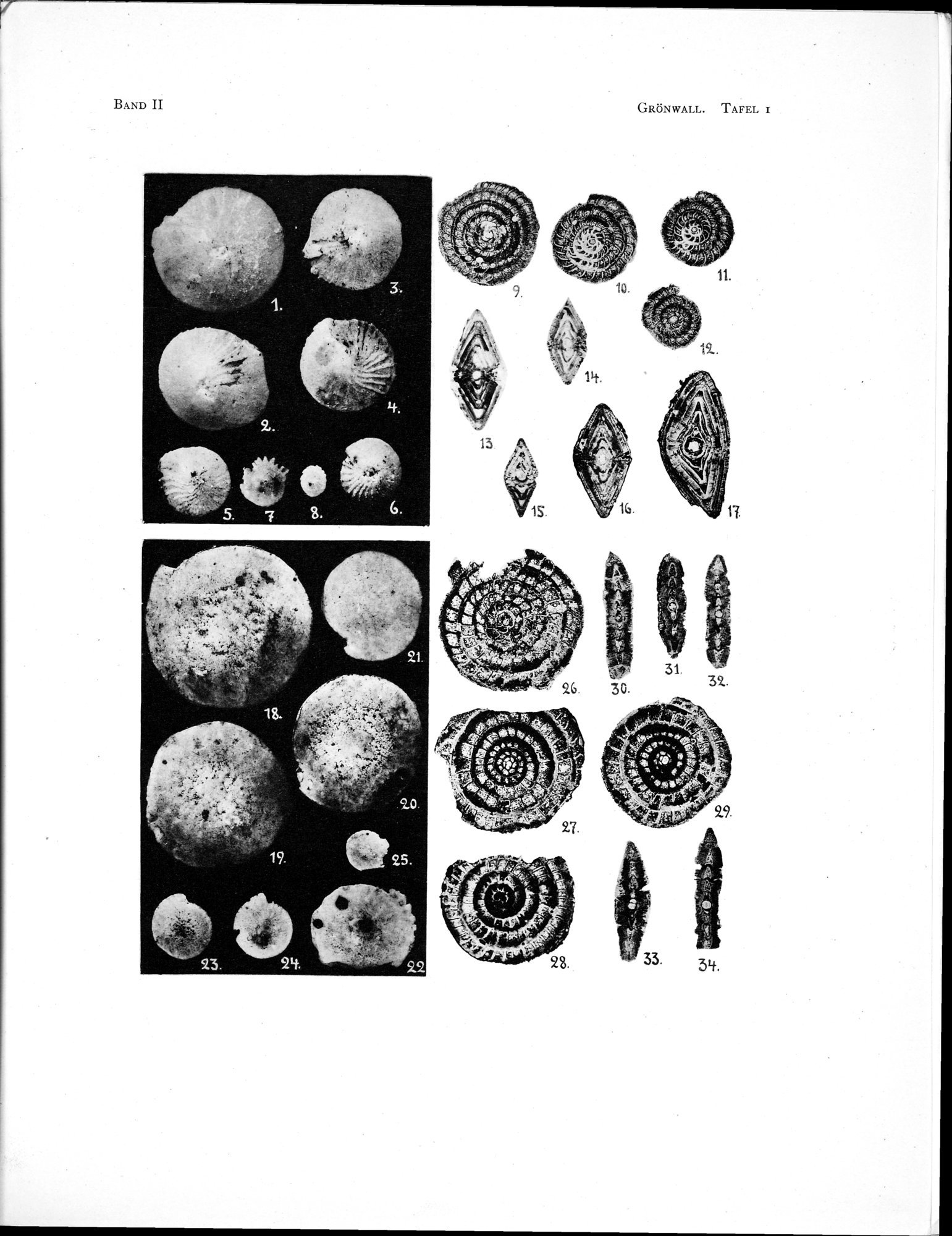 Eine Routenaufnahme durch Ostpersien : vol.2 / Page 585 (Grayscale High Resolution Image)