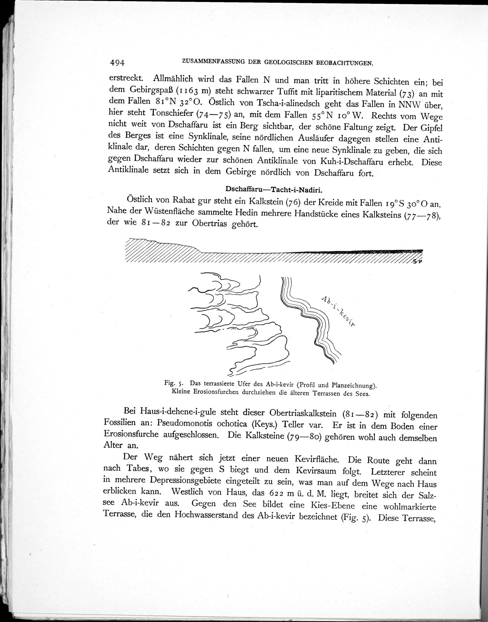 Eine Routenaufnahme durch Ostpersien : vol.2 / 628 ページ（白黒高解像度画像）
