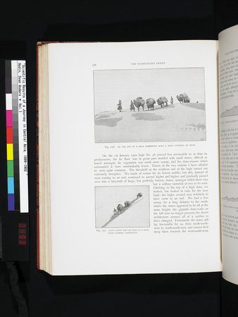 Scientific Results of a Journey in Central Asia, 1899-1902 : vol.1 : Page 458