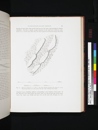 Scientific Results of a Journey in Central Asia, 1899-1902 : vol.1 : Page 491