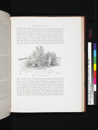 Scientific Results of a Journey in Central Asia, 1899-1902 : vol.1 : Page 541