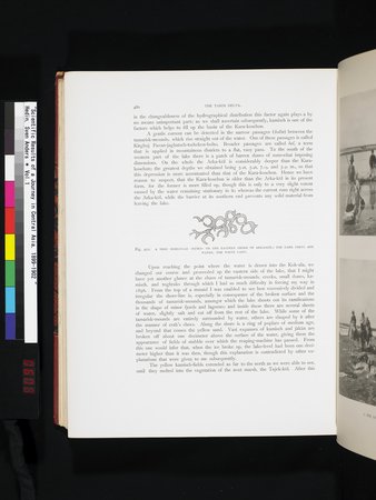 Scientific Results of a Journey in Central Asia, 1899-1902 : vol.1 : Page 608