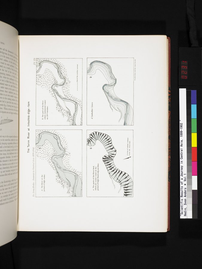 Scientific Results of a Journey in Central Asia, 1899-1902 : vol.1 / Page 231 (Color Image)