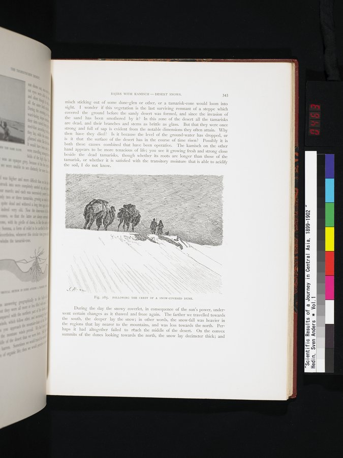 Scientific Results of a Journey in Central Asia, 1899-1902 : vol.1 / 463 ページ（カラー画像）