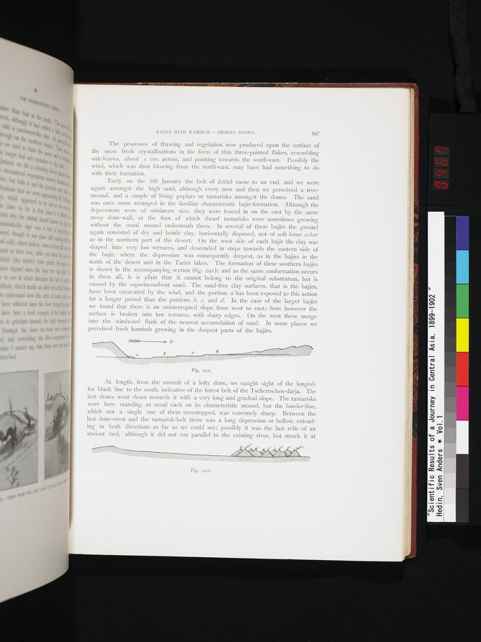 Scientific Results of a Journey in Central Asia, 1899-1902 : vol.1 / 467 ページ（カラー画像）