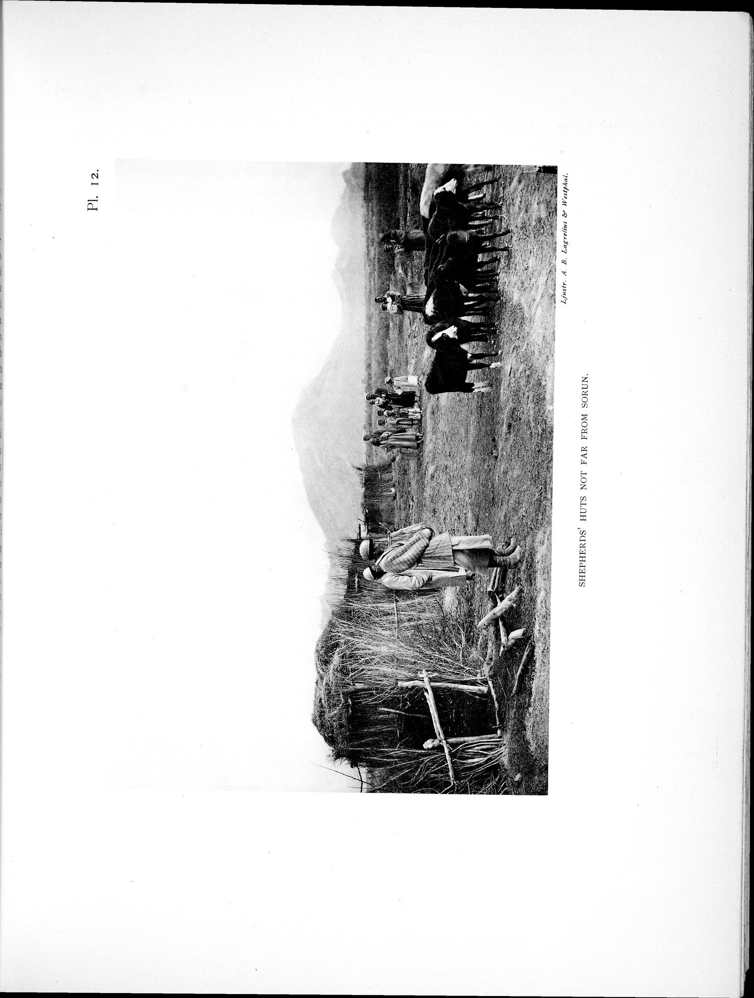 Scientific Results of a Journey in Central Asia, 1899-1902 : vol.1 / 93 ページ（白黒高解像度画像）