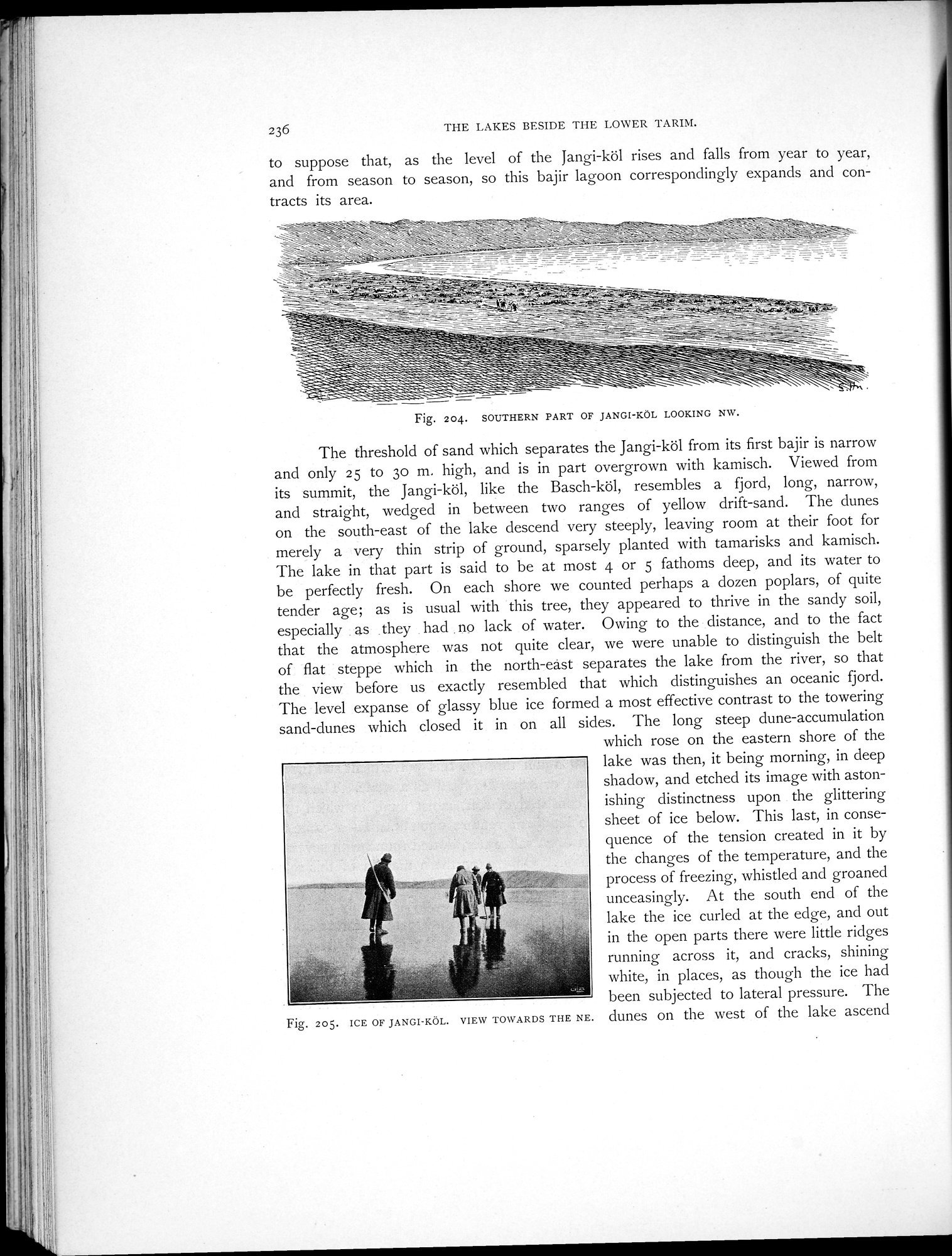 Scientific Results of a Journey in Central Asia, 1899-1902 : vol.1 / 330 ページ（白黒高解像度画像）