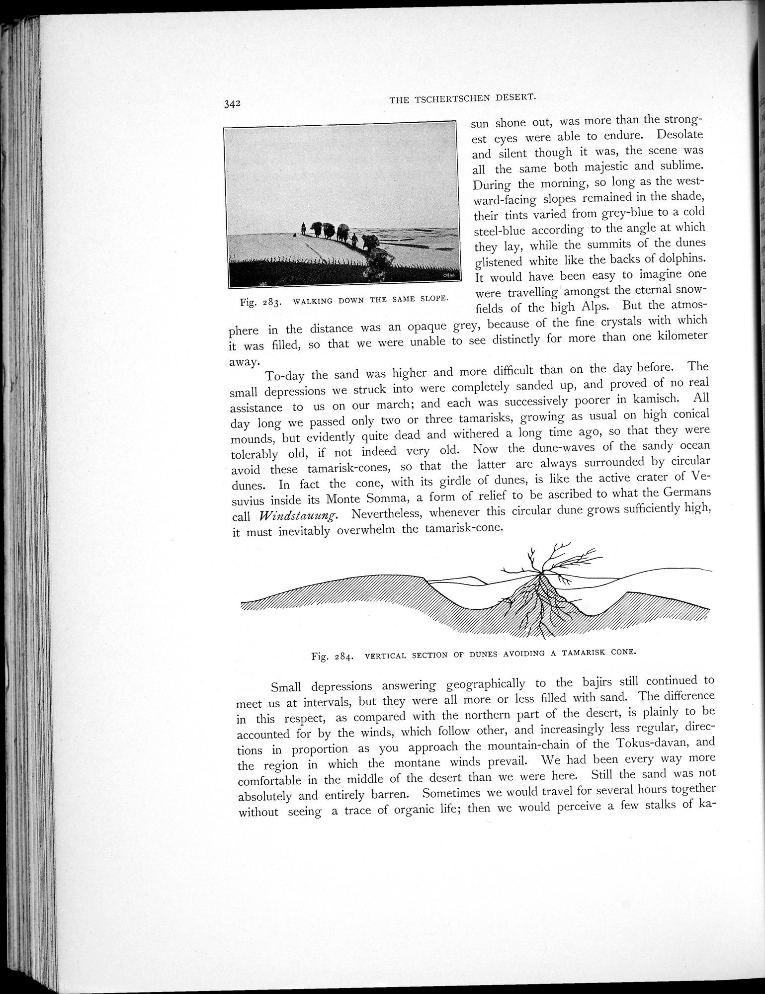 Scientific Results of a Journey in Central Asia, 1899-1902 : vol.1 / Page 462 (Grayscale High Resolution Image)