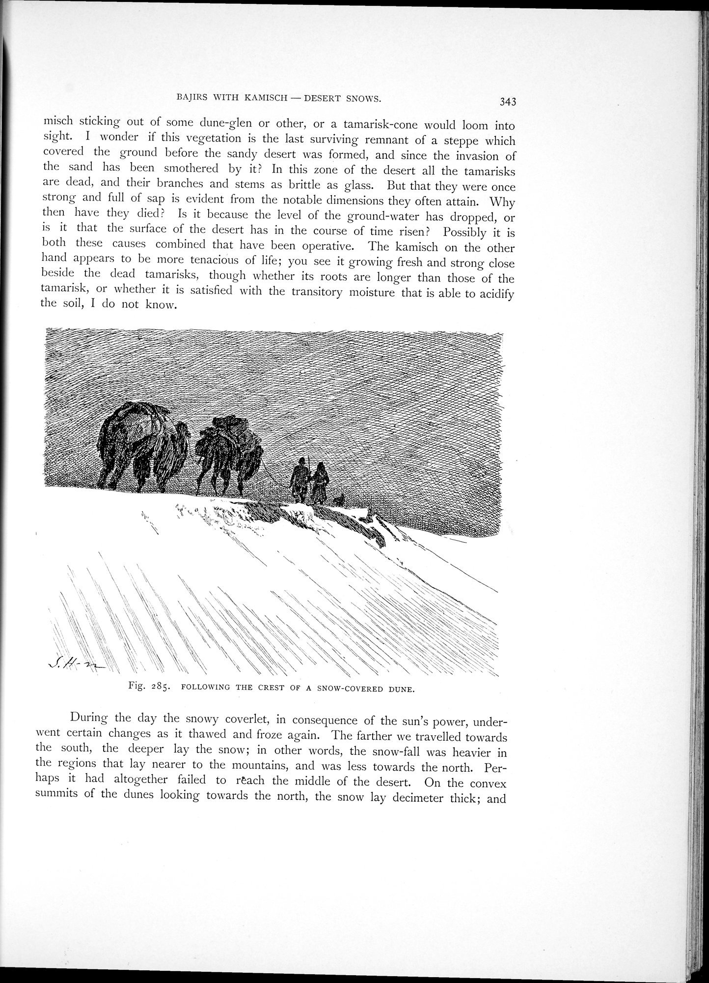 Scientific Results of a Journey in Central Asia, 1899-1902 : vol.1 / 463 ページ（白黒高解像度画像）
