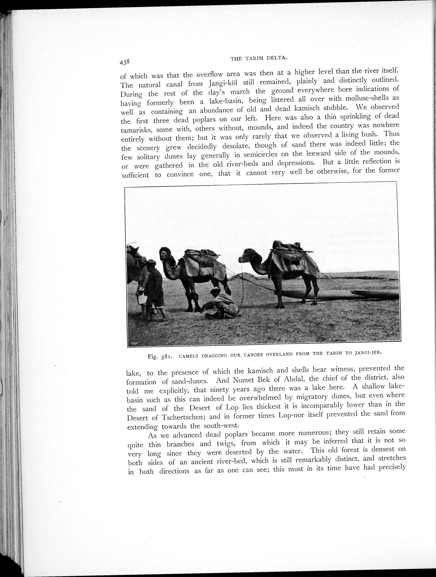 Scientific Results of a Journey in Central Asia, 1899-1902 : vol.1 / Page 564 (Grayscale High Resolution Image)