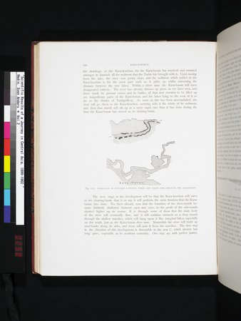 Scientific Results of a Journey in Central Asia, 1899-1902 : vol.2 : Page 250