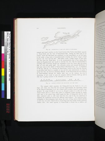 Scientific Results of a Journey in Central Asia, 1899-1902 : vol.2 : Page 262