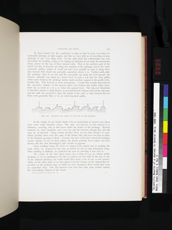 Scientific Results of a Journey in Central Asia, 1899-1902 : vol.2 : Page 307
