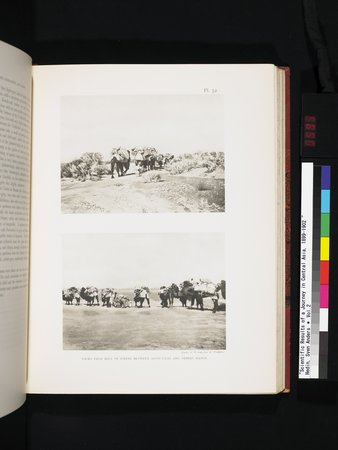 Scientific Results of a Journey in Central Asia, 1899-1902 : vol.2 : Page 593
