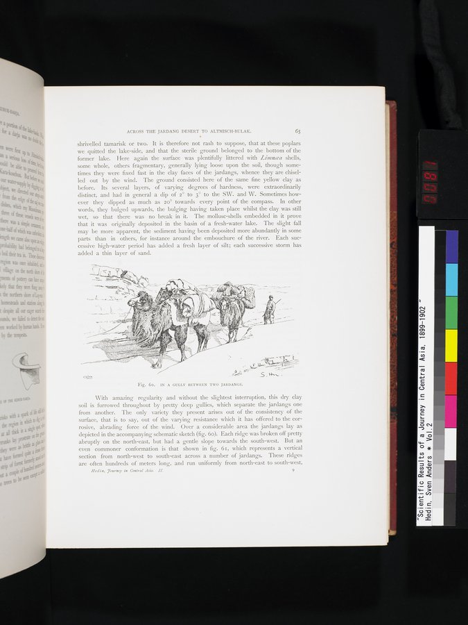 Scientific Results of a Journey in Central Asia, 1899-1902 : vol.2 / 81 ページ（カラー画像）