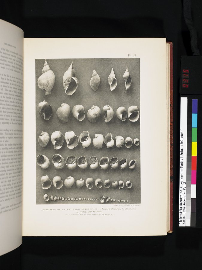 Scientific Results of a Journey in Central Asia, 1899-1902 : vol.2 / 315 ページ（カラー画像）