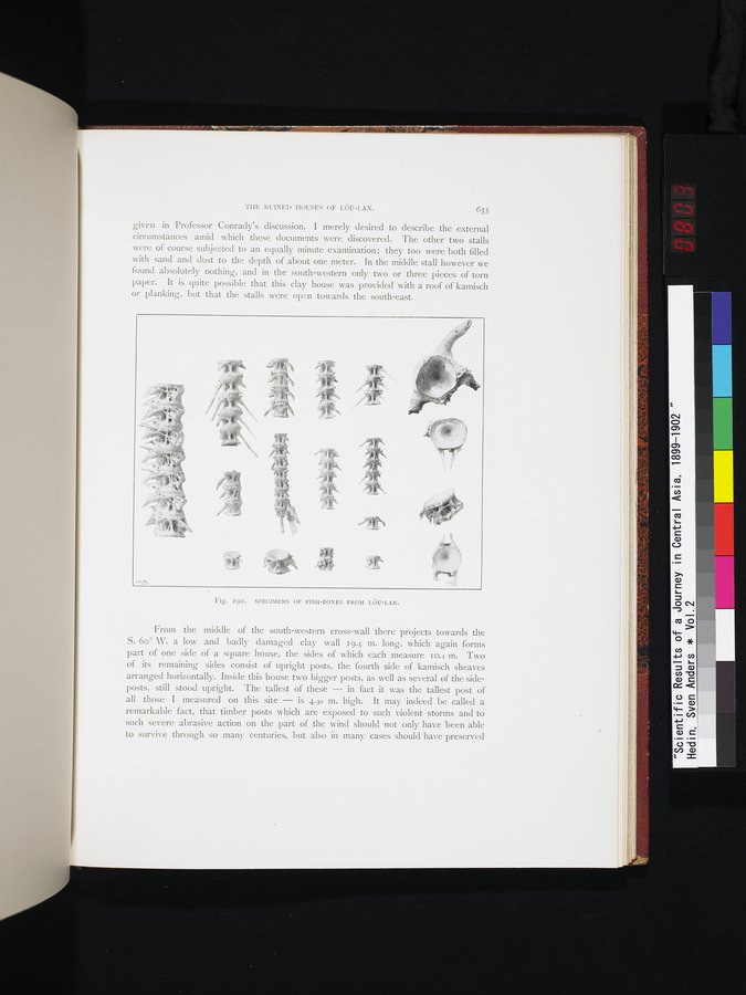 Scientific Results of a Journey in Central Asia, 1899-1902 : vol.2 / 803 ページ（カラー画像）