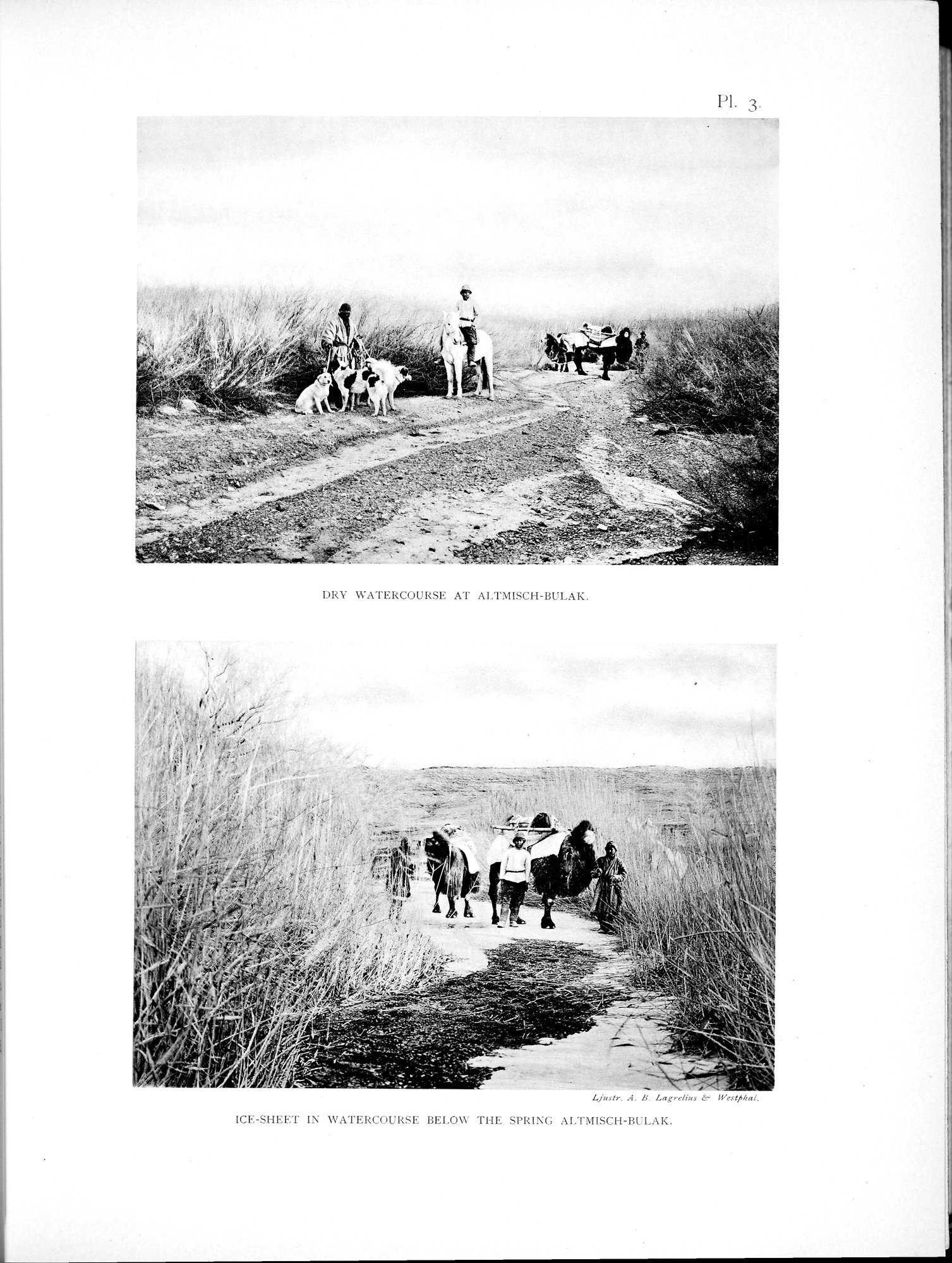 Scientific Results of a Journey in Central Asia, 1899-1902 : vol.2 / 91 ページ（白黒高解像度画像）
