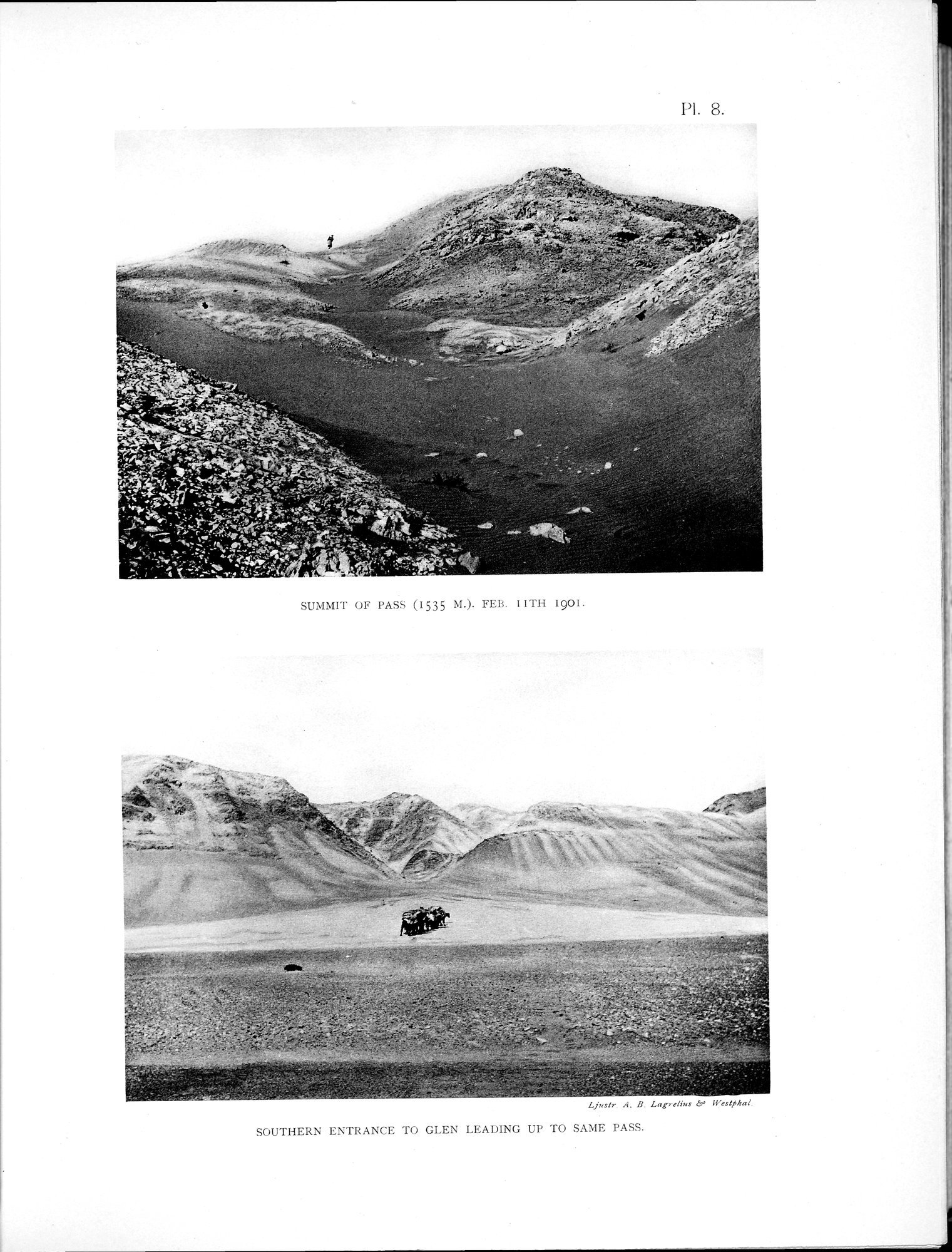 Scientific Results of a Journey in Central Asia, 1899-1902 : vol.2 / 135 ページ（白黒高解像度画像）