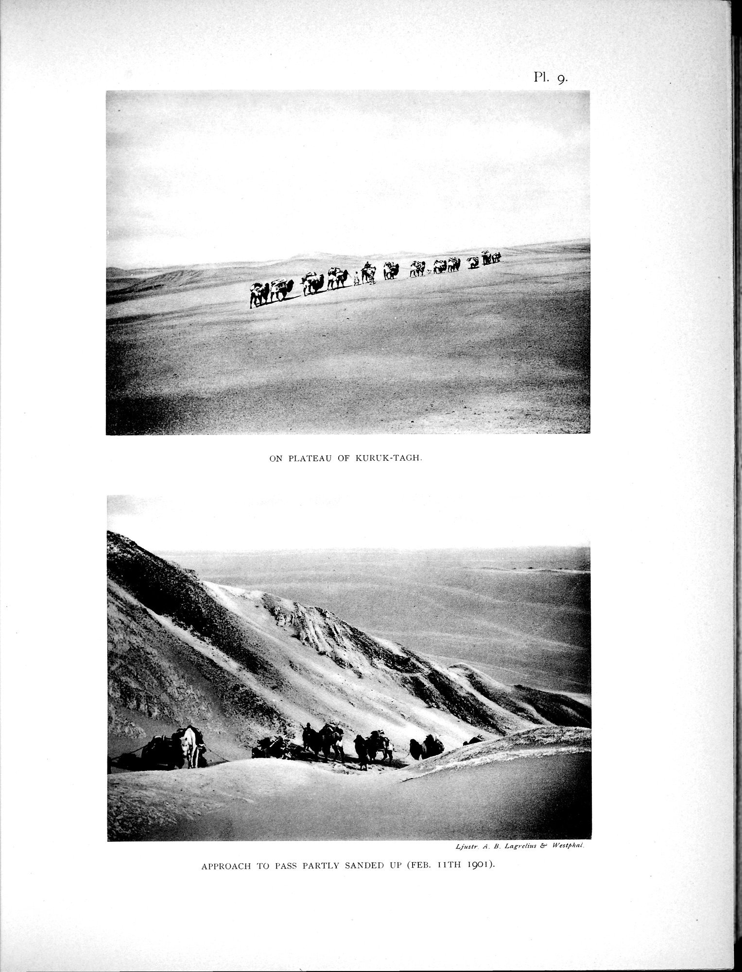Scientific Results of a Journey in Central Asia, 1899-1902 : vol.2 / 139 ページ（白黒高解像度画像）