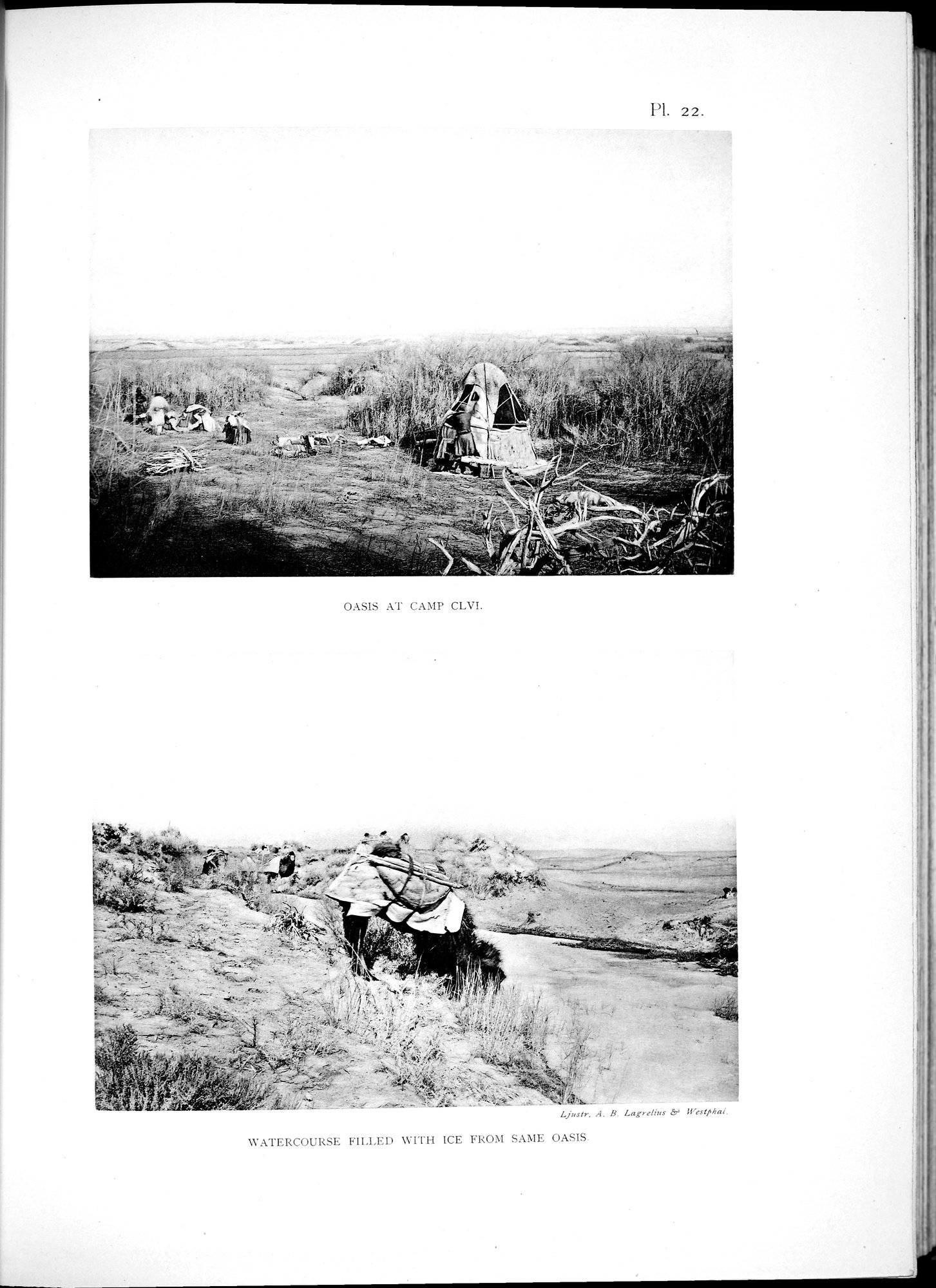 Scientific Results of a Journey in Central Asia, 1899-1902 : vol.2 / 289 ページ（白黒高解像度画像）