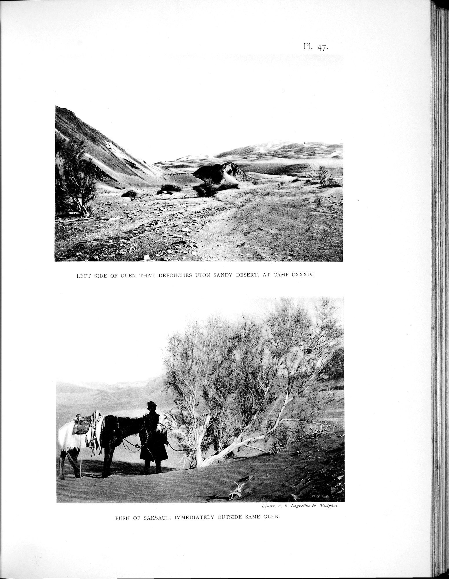 Scientific Results of a Journey in Central Asia, 1899-1902 : vol.2 / 533 ページ（白黒高解像度画像）