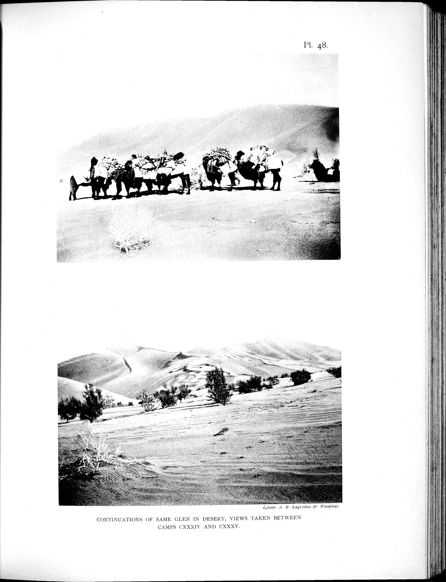 Scientific Results of a Journey in Central Asia, 1899-1902 : vol.2 / 543 ページ（白黒高解像度画像）