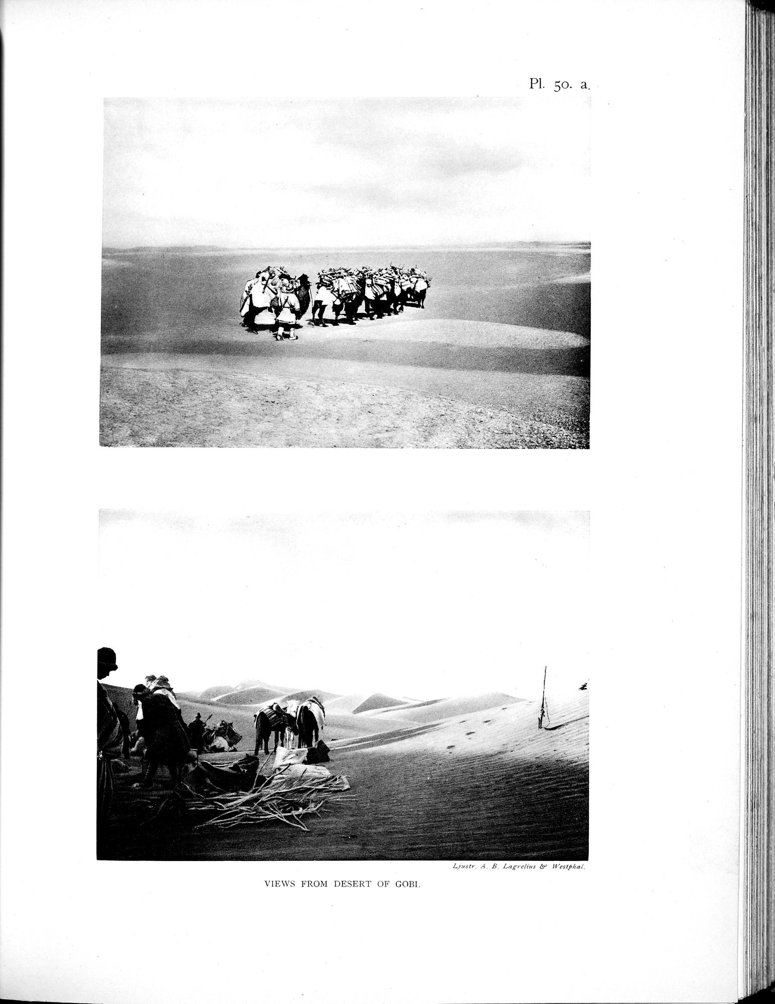 Scientific Results of a Journey in Central Asia, 1899-1902 : vol.2 / 563 ページ（白黒高解像度画像）