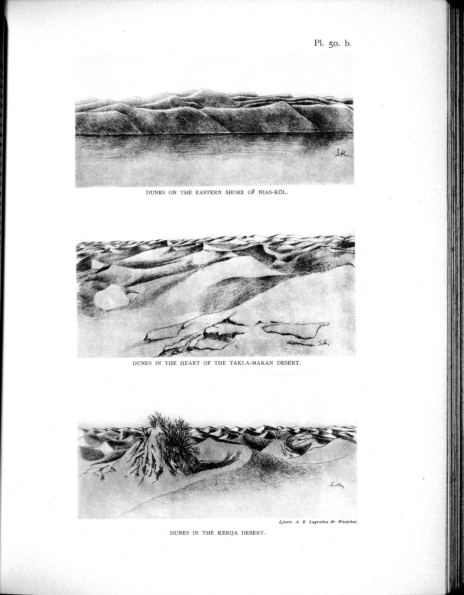 Scientific Results of a Journey in Central Asia, 1899-1902 : vol.2 / 569 ページ（白黒高解像度画像）