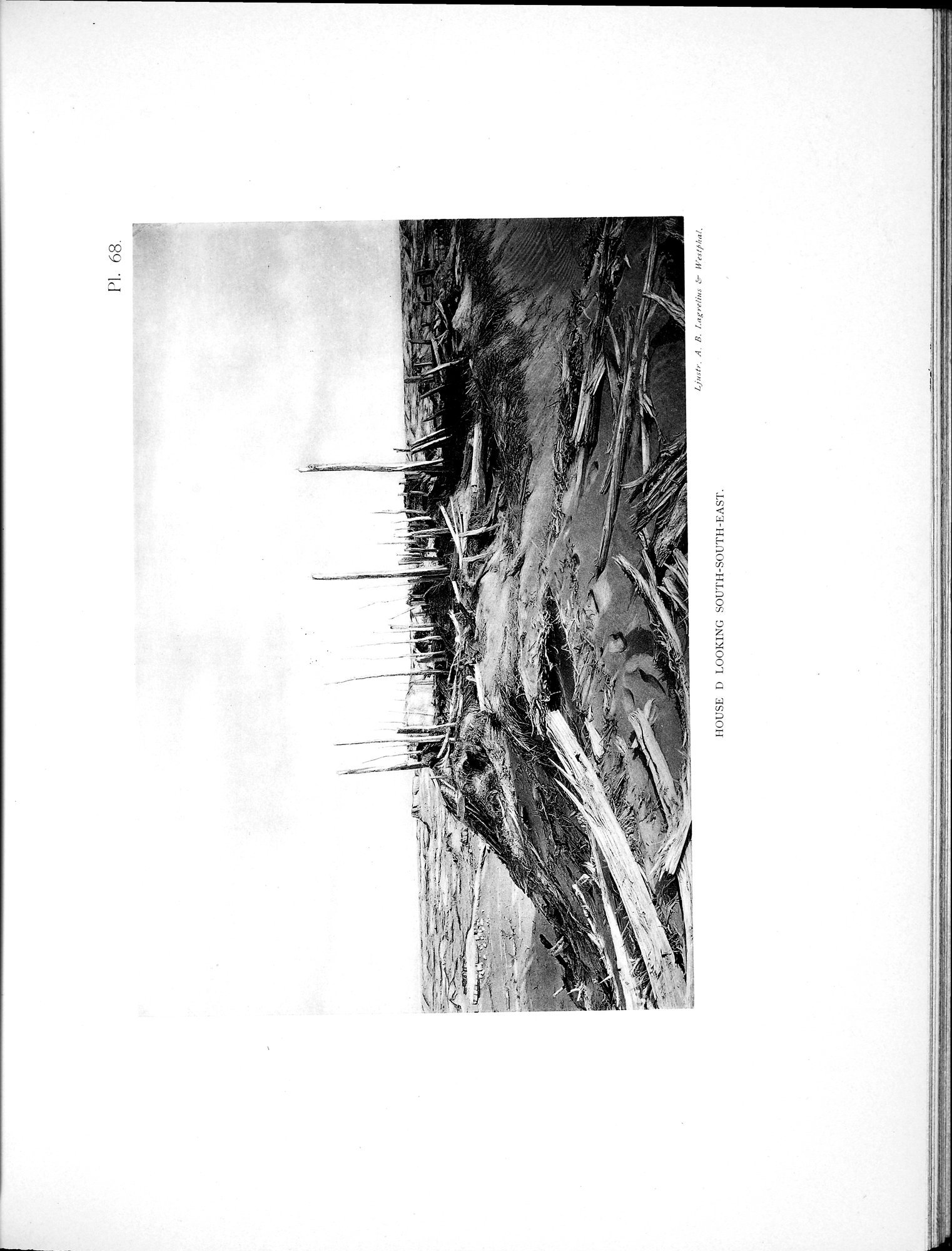 Scientific Results of a Journey in Central Asia, 1899-1902 : vol.2 / 797 ページ（白黒高解像度画像）