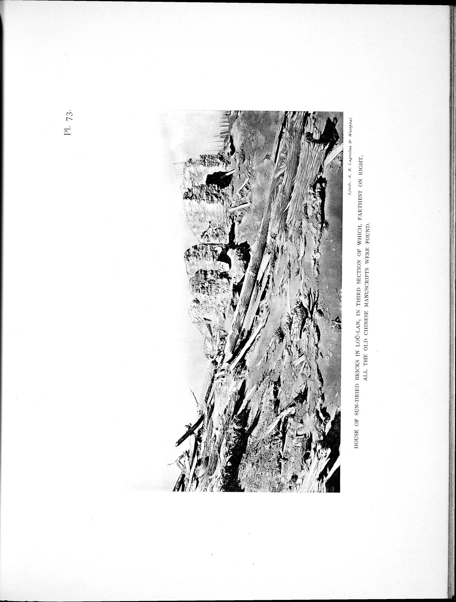 Scientific Results of a Journey in Central Asia, 1899-1902 : vol.2 / Page 817 (Grayscale High Resolution Image)