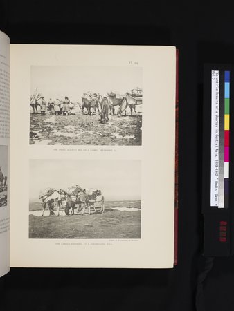 Scientific Results of a Journey in Central Asia, 1899-1902 : vol.3 : Page 219