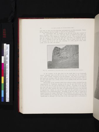 Scientific Results of a Journey in Central Asia, 1899-1902 : vol.3 : Page 274