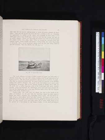 Scientific Results of a Journey in Central Asia, 1899-1902 : vol.3 : Page 293