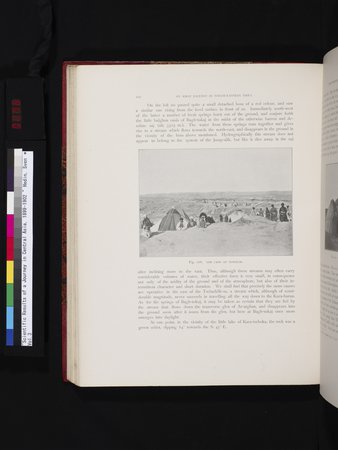 Scientific Results of a Journey in Central Asia, 1899-1902 : vol.3 : Page 296