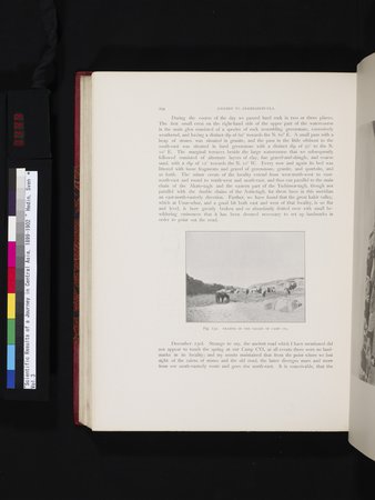 Scientific Results of a Journey in Central Asia, 1899-1902 : vol.3 : Page 444